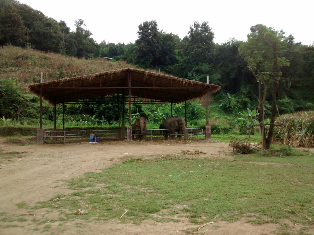 Maeklang Elephant Conservation Community-Mae Win必去景点