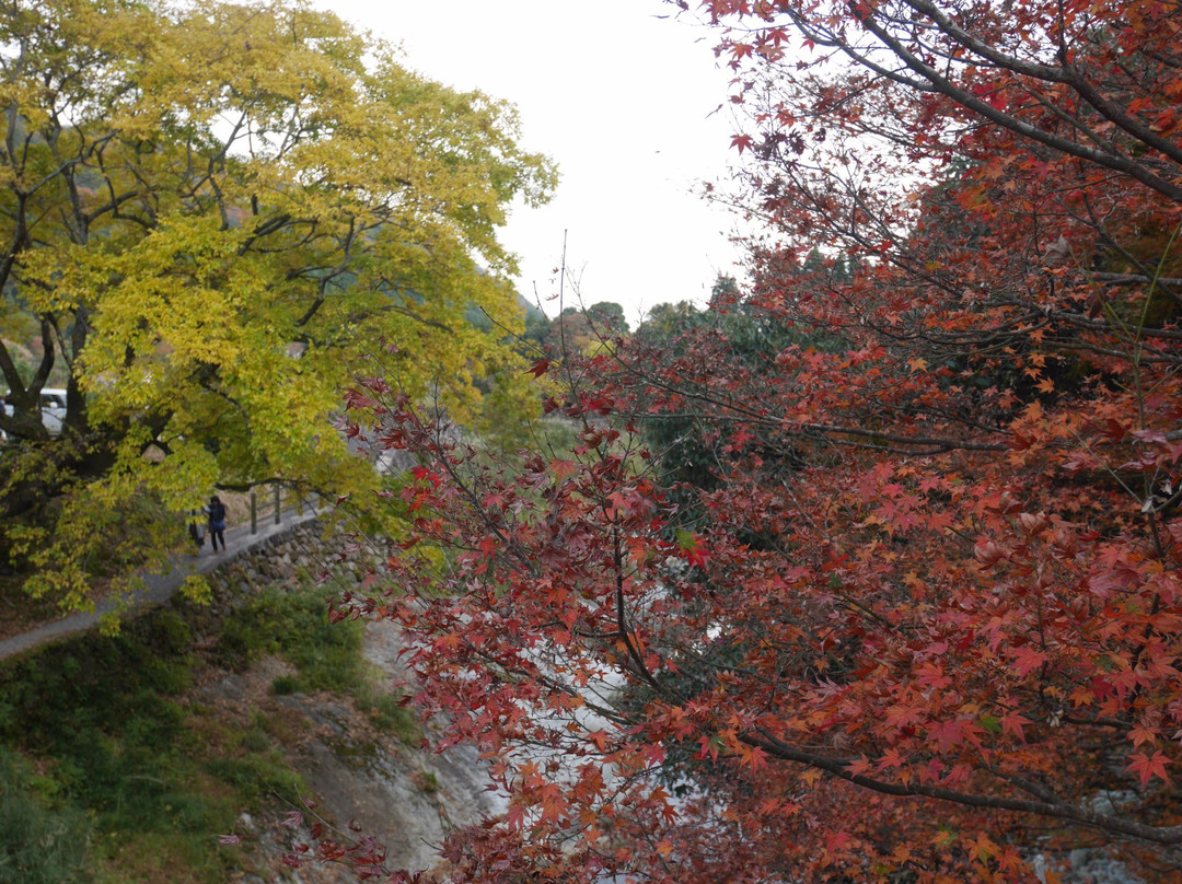 Sarutobisentsubo Gorge-中津市必去景点