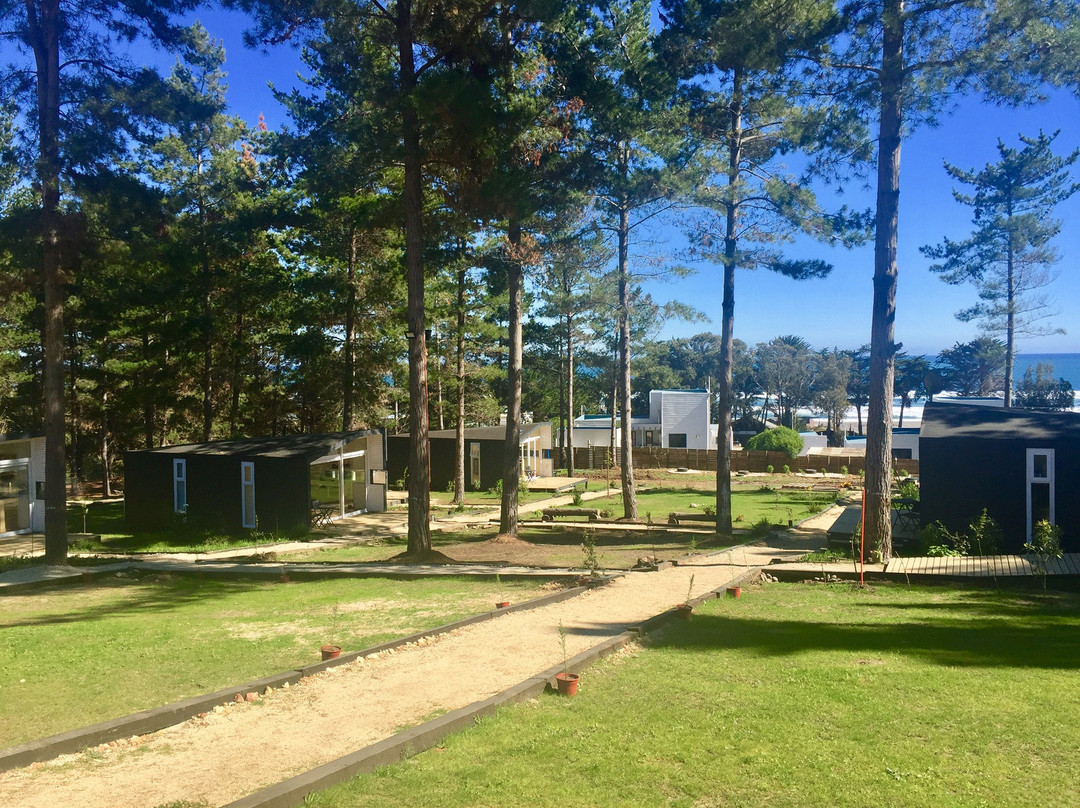 Curi Lodge Pichilemu