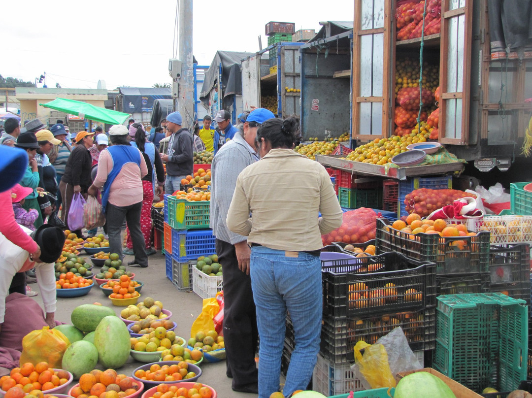 Mercado Indigena景点图片