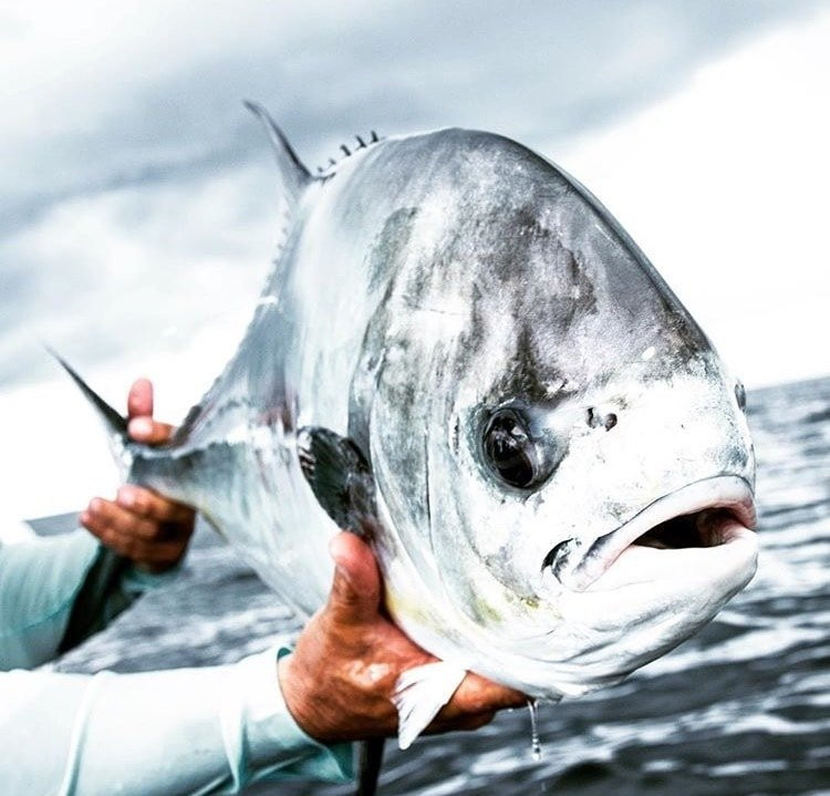 On a Mission Fishing Charters-那不勒斯必去景点