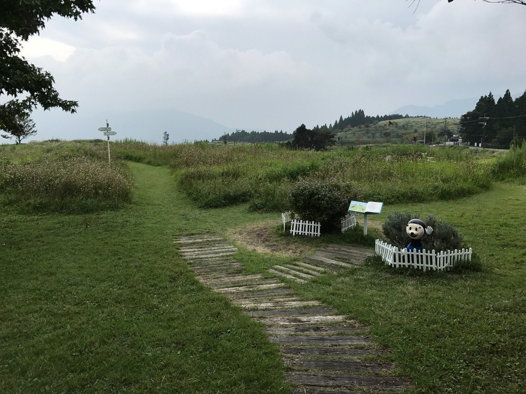Aso Highland Museum Park景点图片