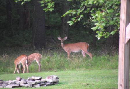 Road Less Traveled Bed & Breakfast主图