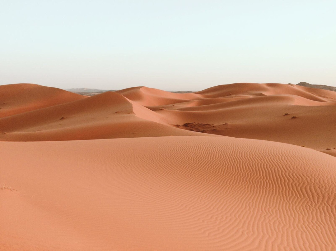 City Tours Morocco-梅如卡必去景点