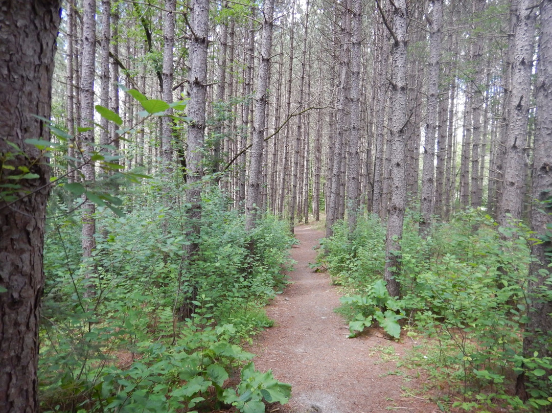 Parc des Deux  Rivières-East Angus必去景点