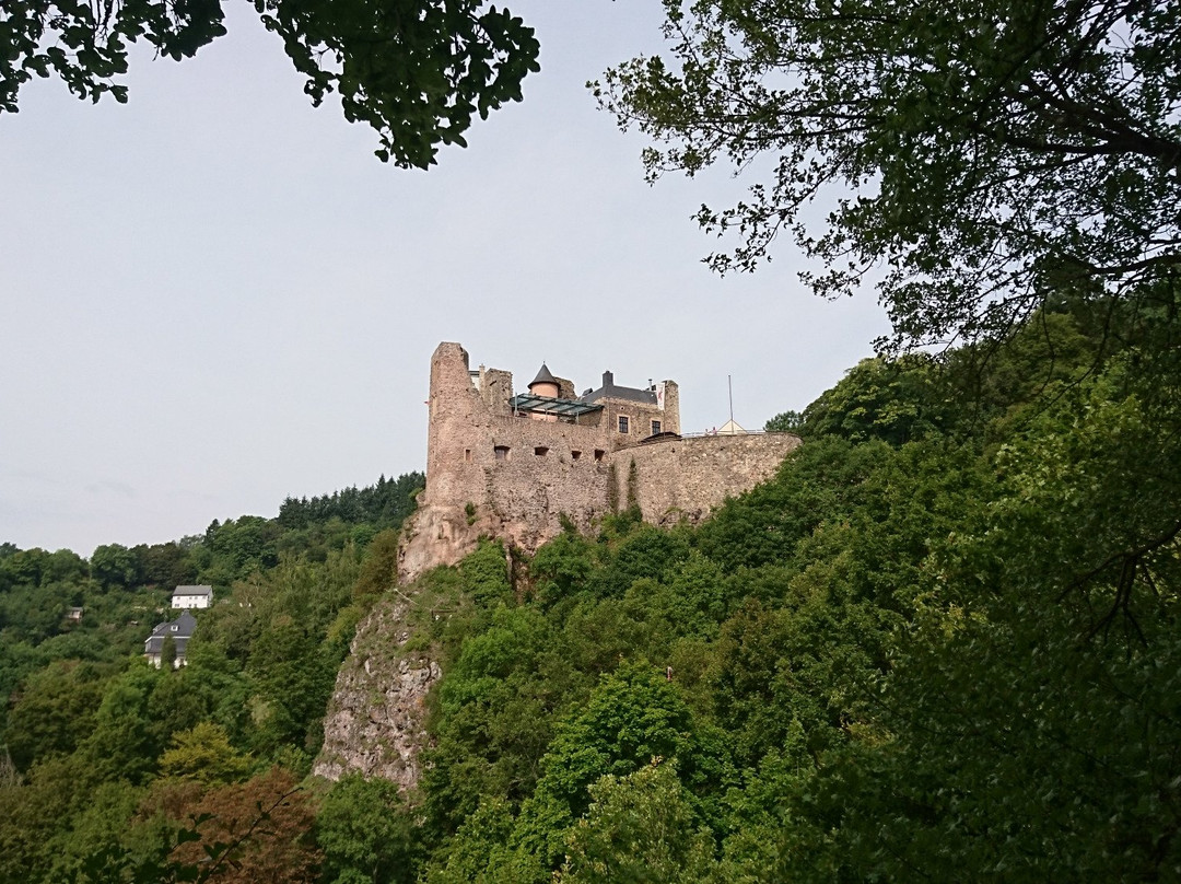 Schloss Oberstein景点图片