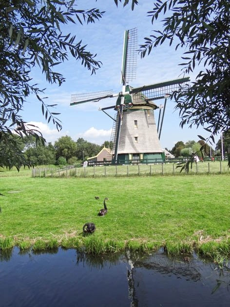 Molen De Vlieger-福尔堡必去景点
