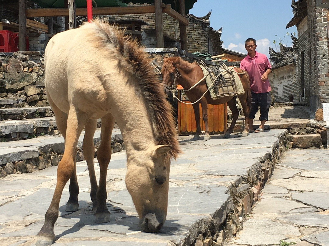 南岗瑶寨-连南瑶族自治县必去景点