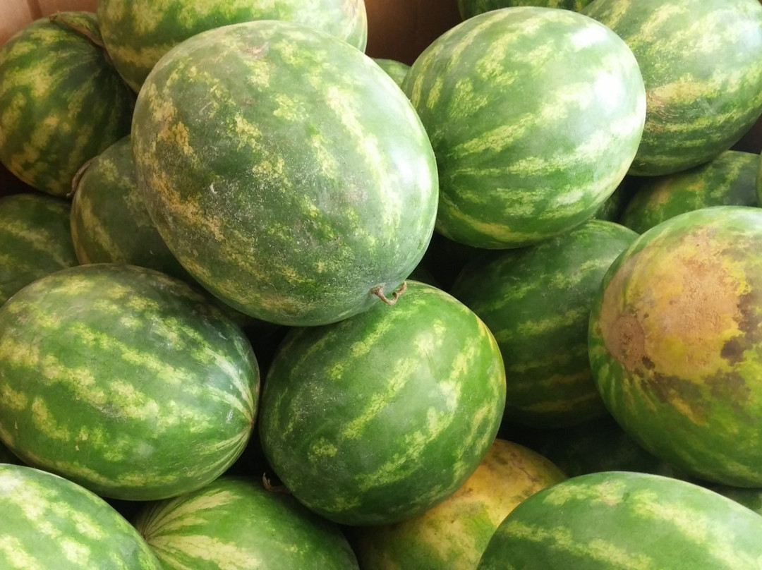 Atkinson Farms-斯普林必去景点