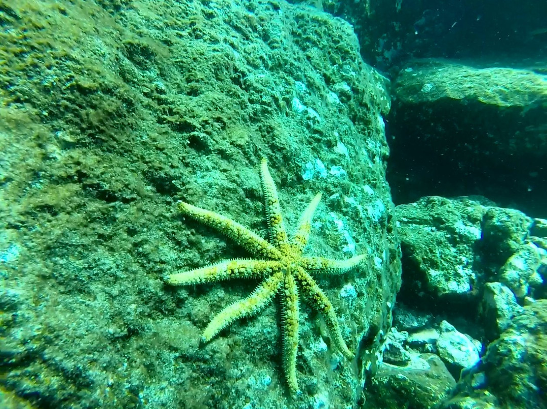 Enjoy Your Adventure Tenerife-特纳里夫必去景点