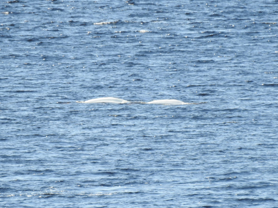 Baie Sainte-Marguerite-Sacré-Coeur-Saguenay必去景点