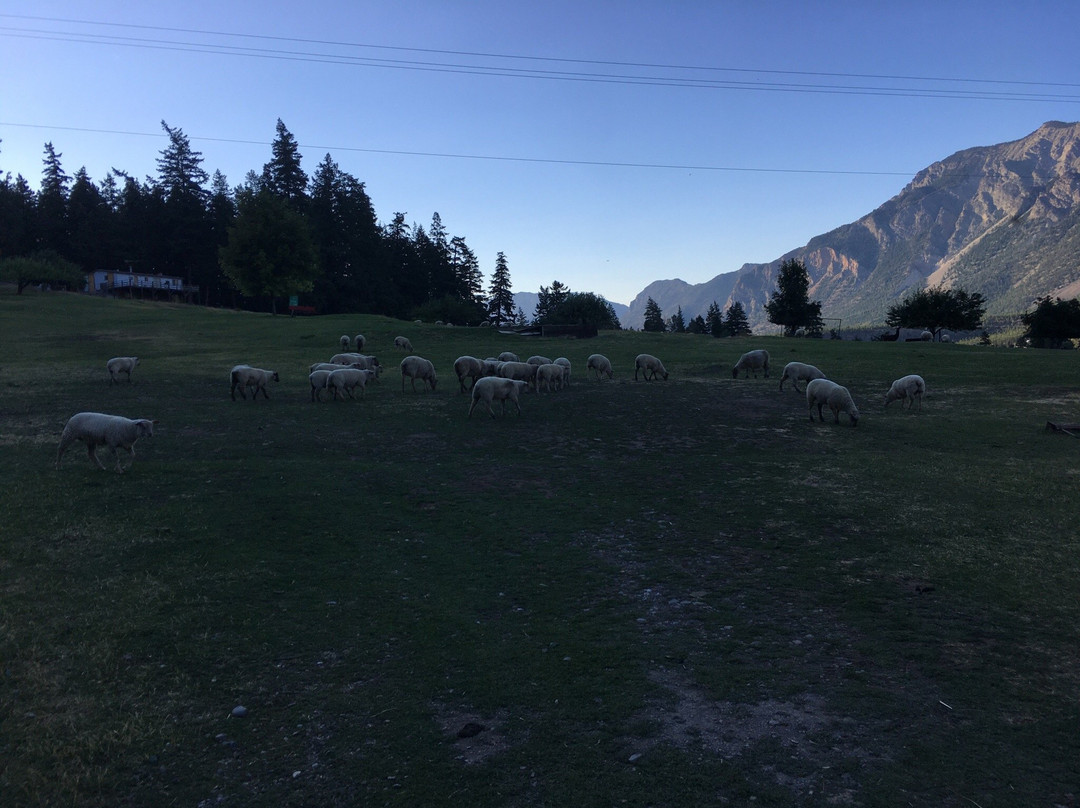 Sheep Pasture Golf Course-Lillooet必去景点