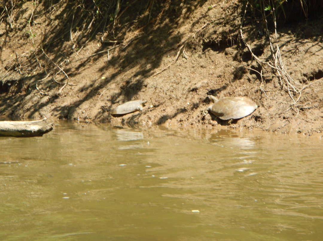 Mohican Adventures-Loudonville必去景点