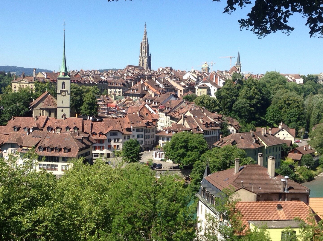 Swiss Private Tours景点图片