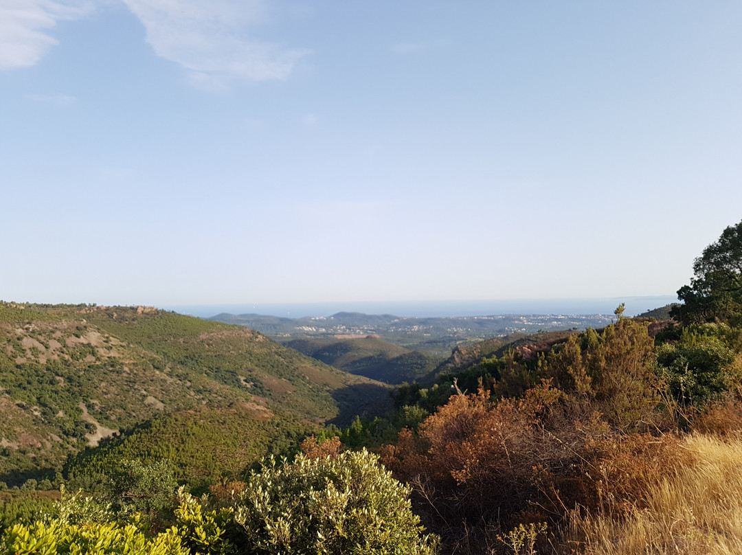 Mont Vinaigre景点图片