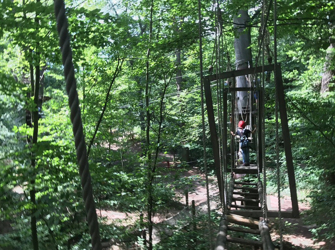 Kletterwald Neroberg-威斯巴登必去景点