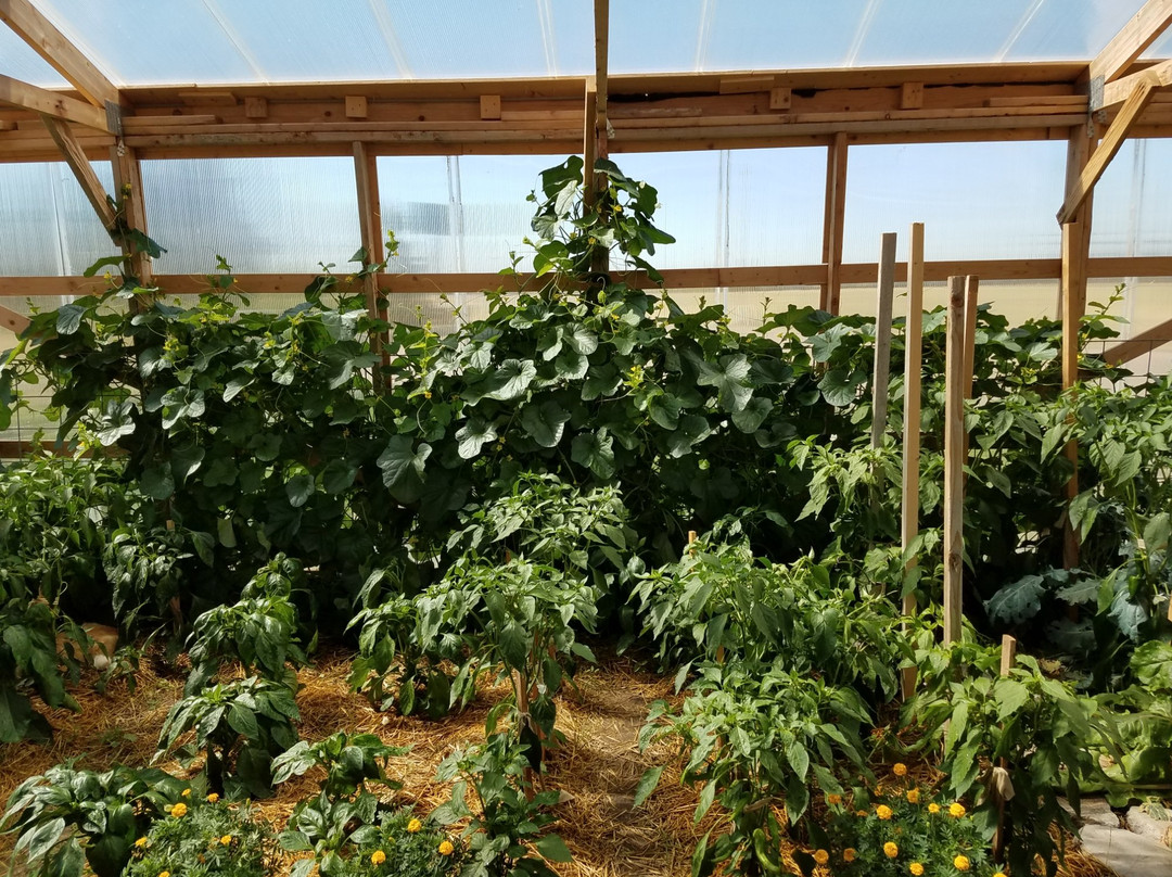 Dalton酒店住宿-Sleep For Less Motel