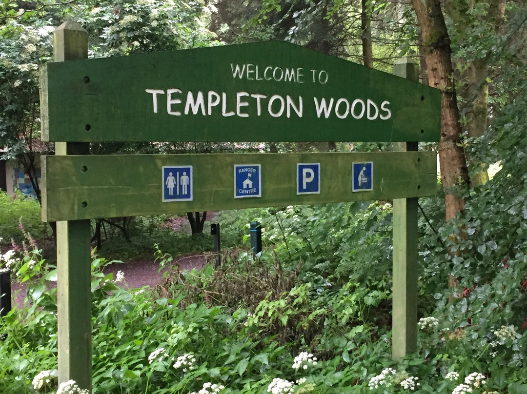 Templeton Woods-敦提必去景点