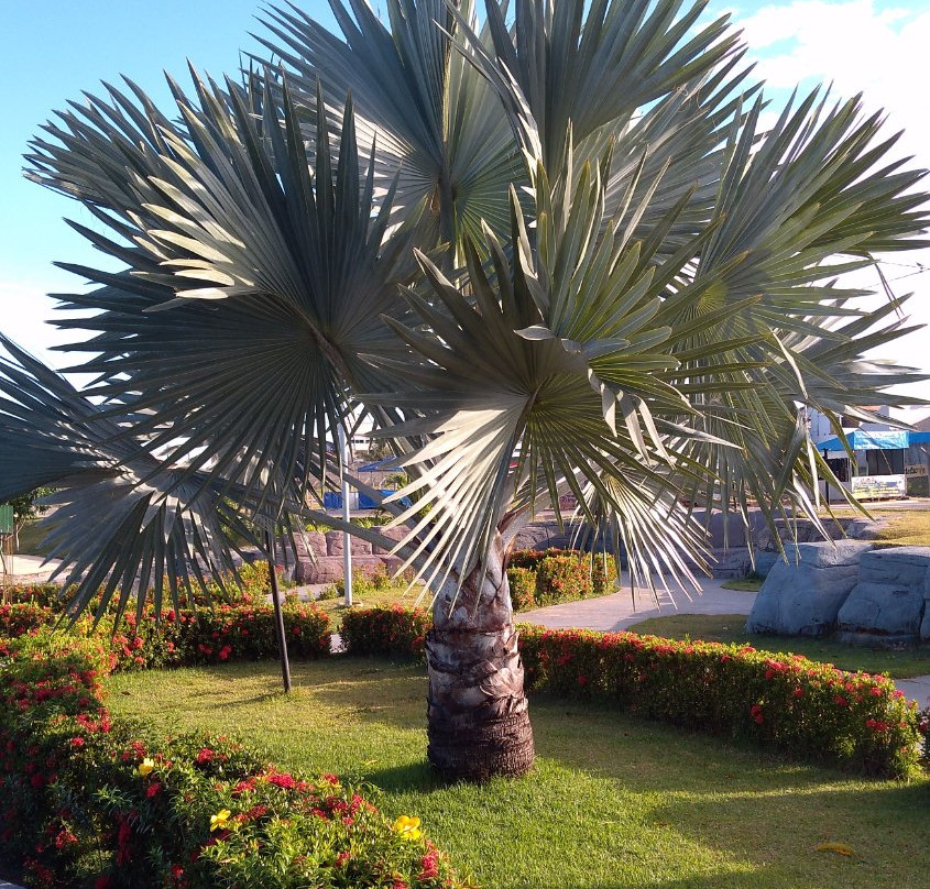 Lagoa Verde-Paragominas必去景点