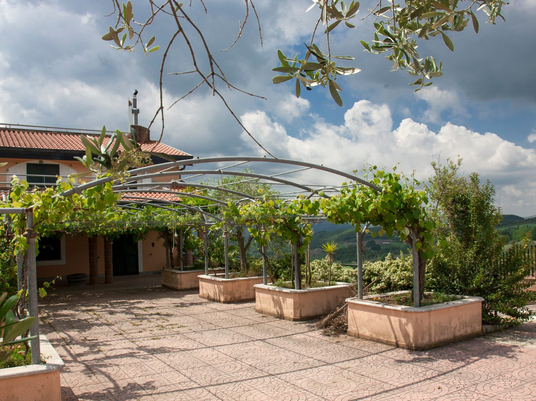 Lisandro Wine Resort主图