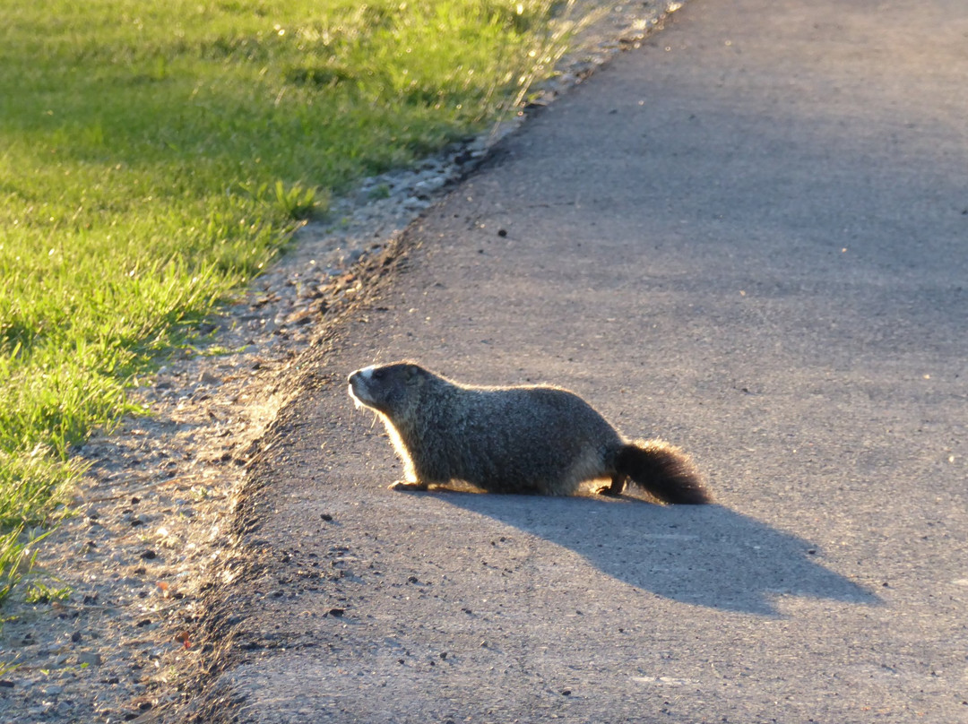 Rock Creek Park-特温福尔斯必去景点