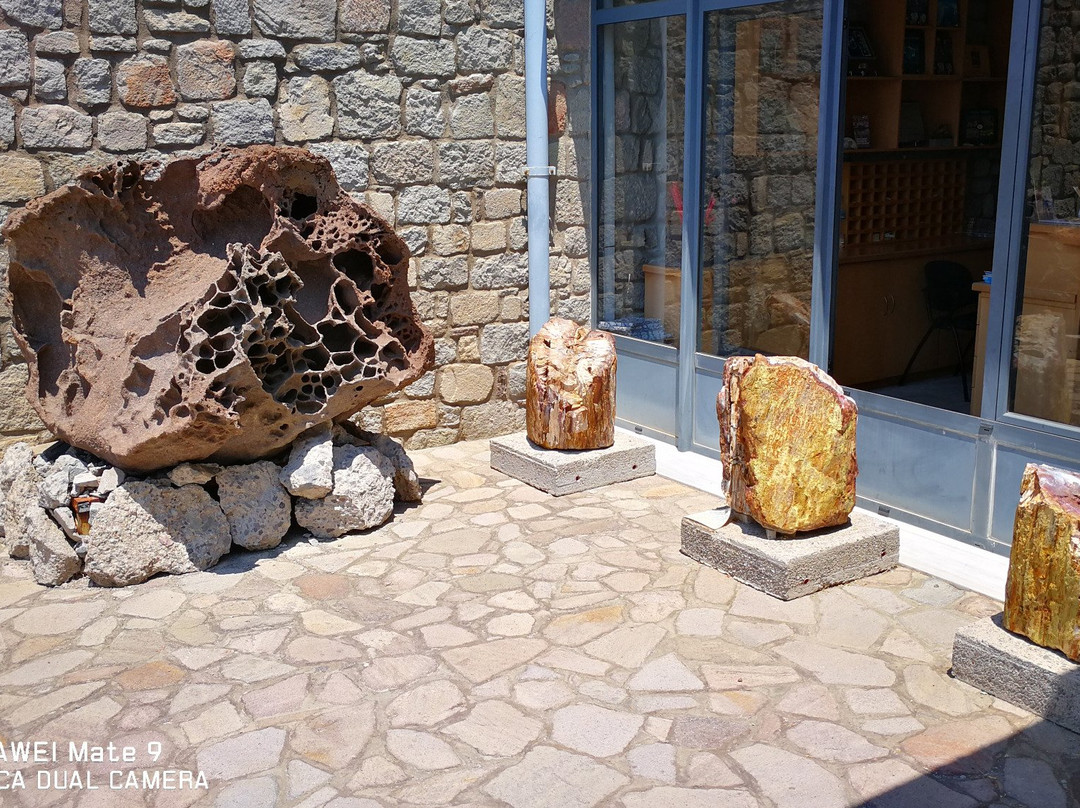 The Natural History Museum of the Lesvos Petrified Forest景点图片