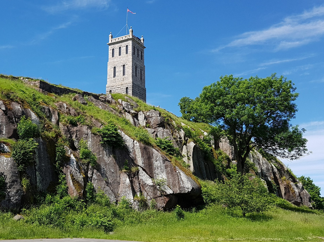null-Tonsberg