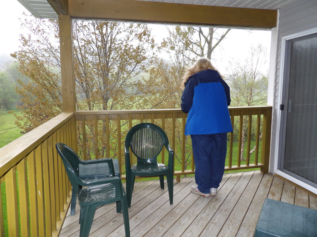 Green Gables Inn主图