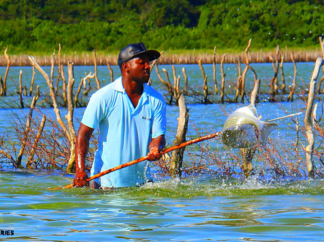 J and K Safaris-圣露西亚必去景点