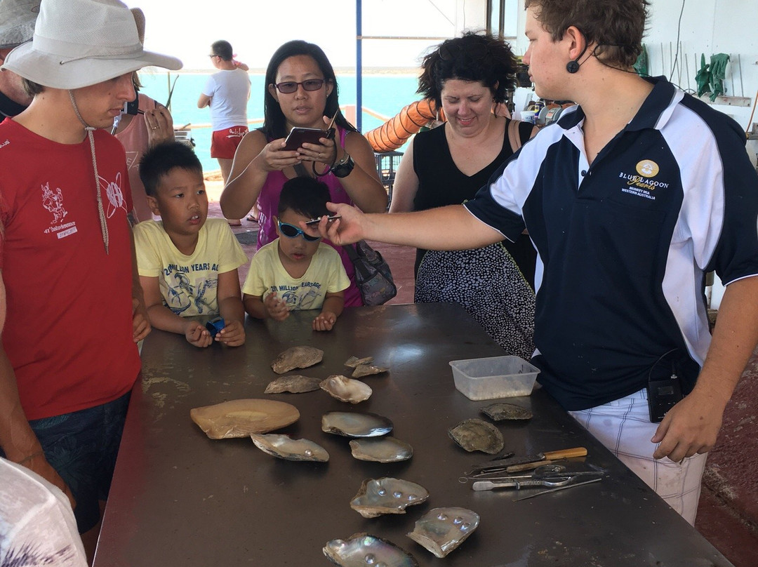 Blue Lagoon Pearl Shop-德纳姆必去景点