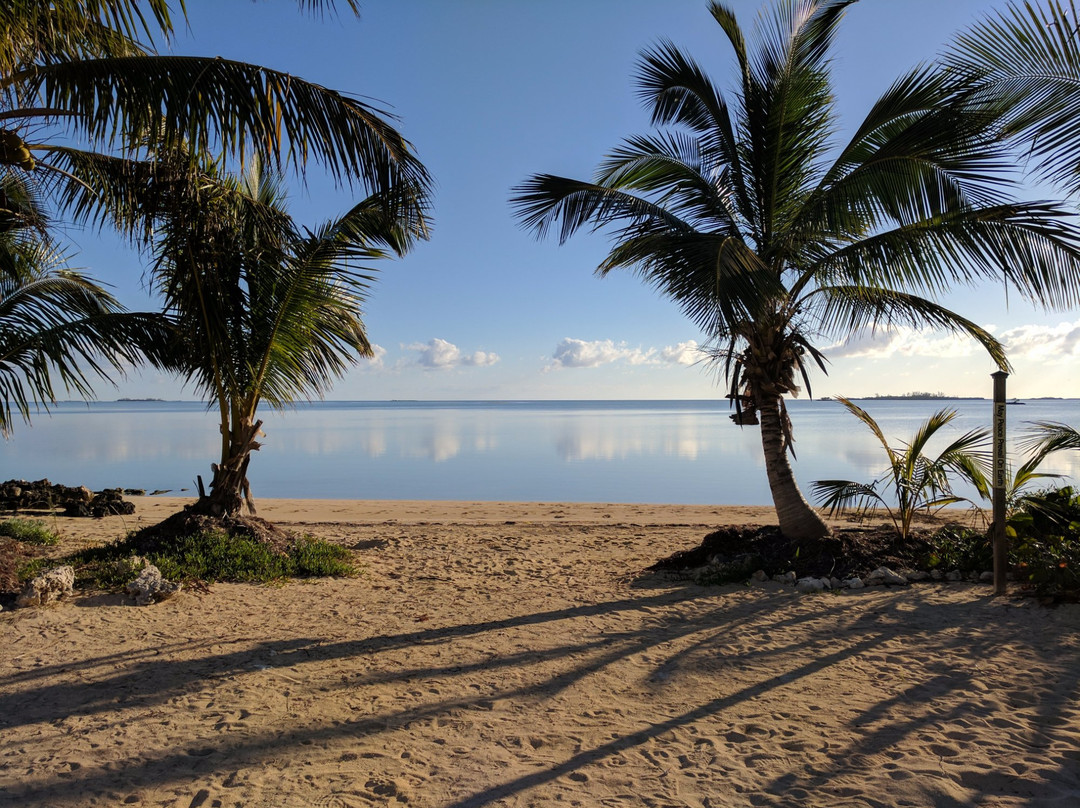 Forfar Field Station-Andros必去景点