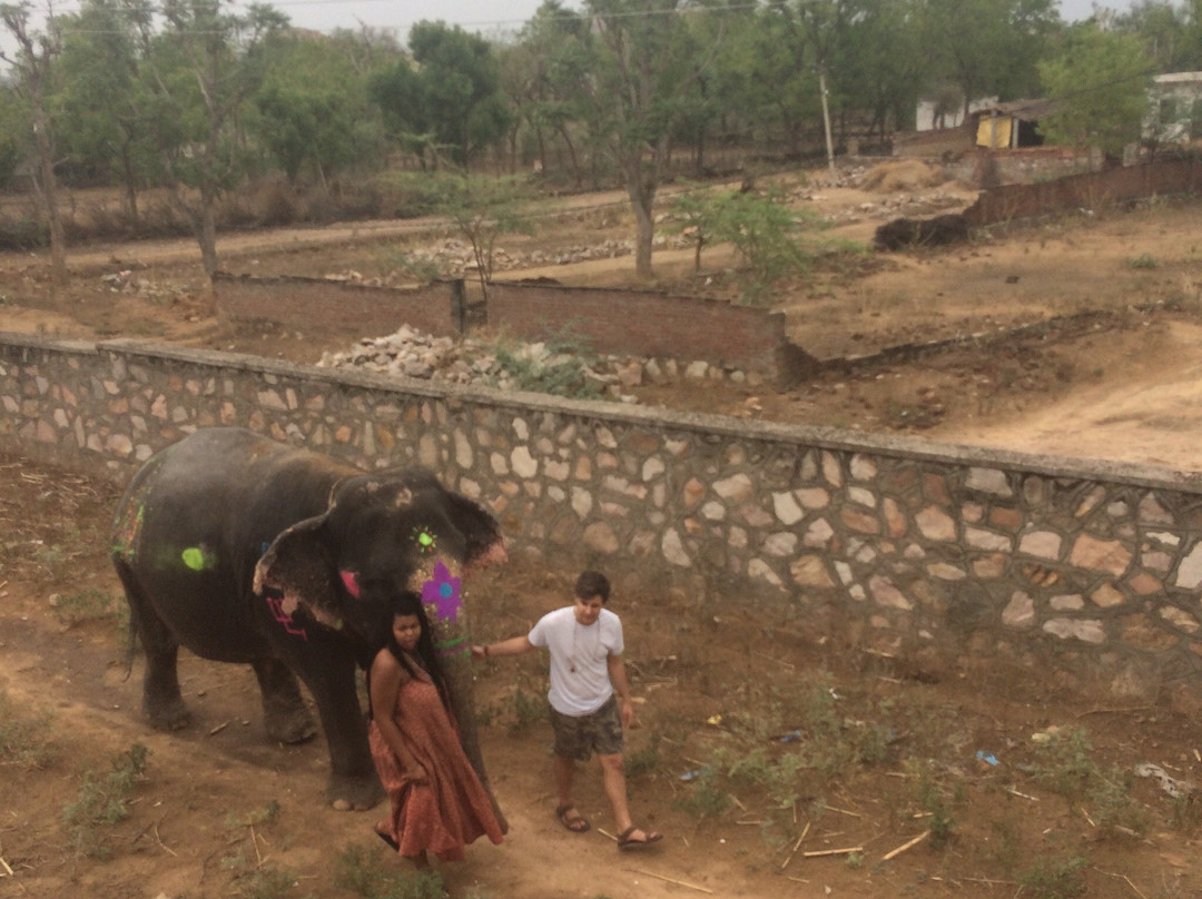 EleJaipur-斋蒲尔必去景点