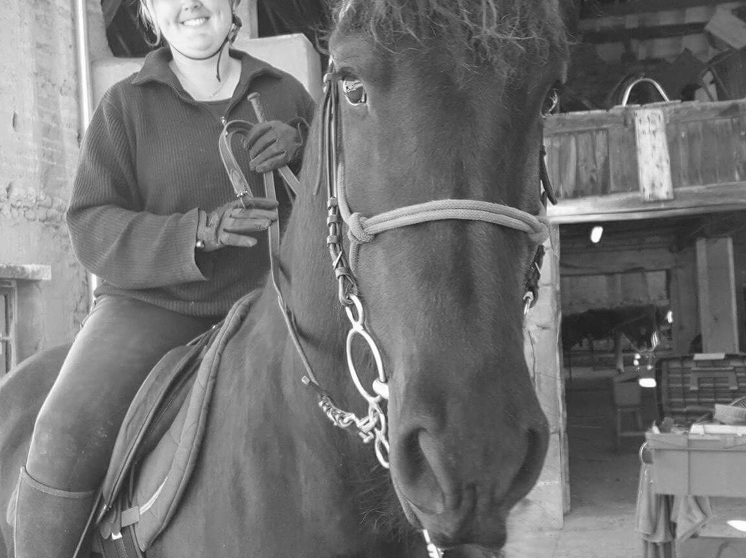 Centre equestre La Cavalcade景点图片