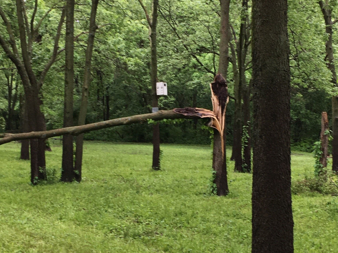 George Wyth State Park-Waterloo必去景点