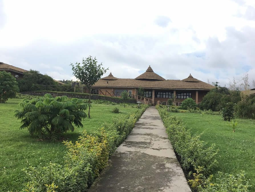 Gorilla Solution Lodge