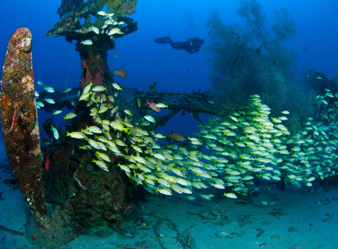 Scuba Ventures-Kavieng必去景点