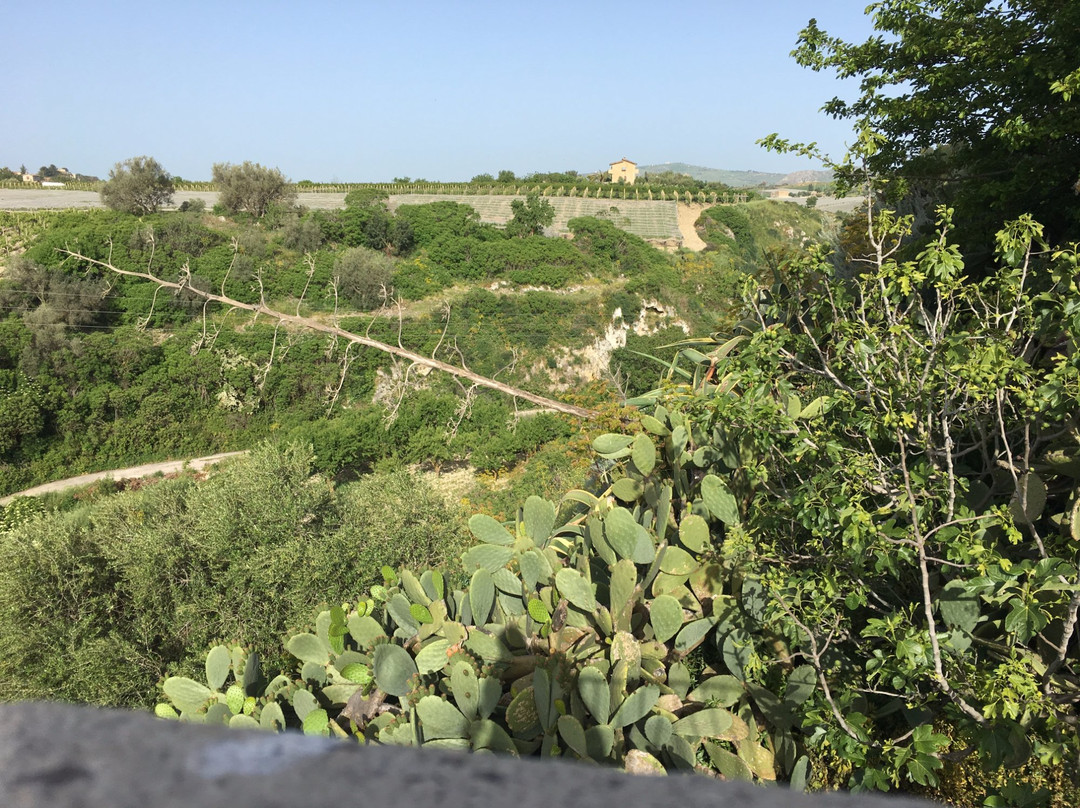 Agriturismo Caramazza主图