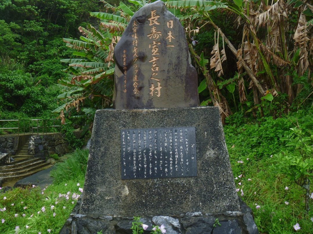 Stone Monument of Declaration of Longevity景点图片