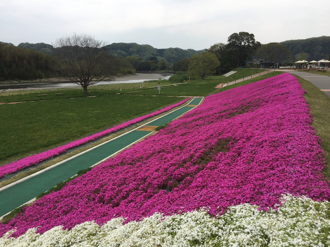 Michi-no-Eki Hitachi Omiya Kawa Plaza景点图片
