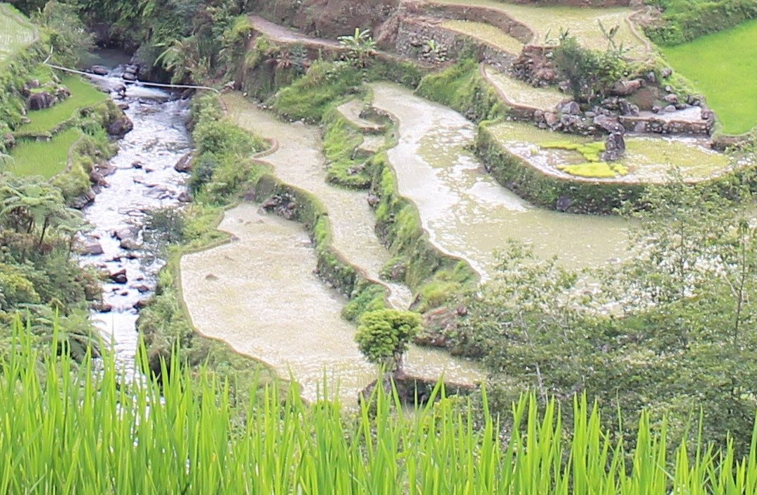 Chico River景点图片