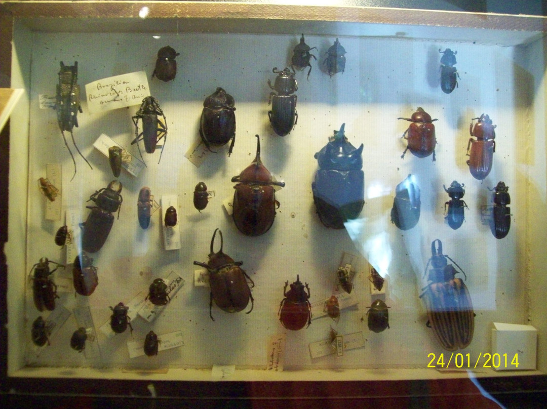 Museo de la Exploracion Rudolph Amandus Philippi-瓦尔迪维亚必去景点