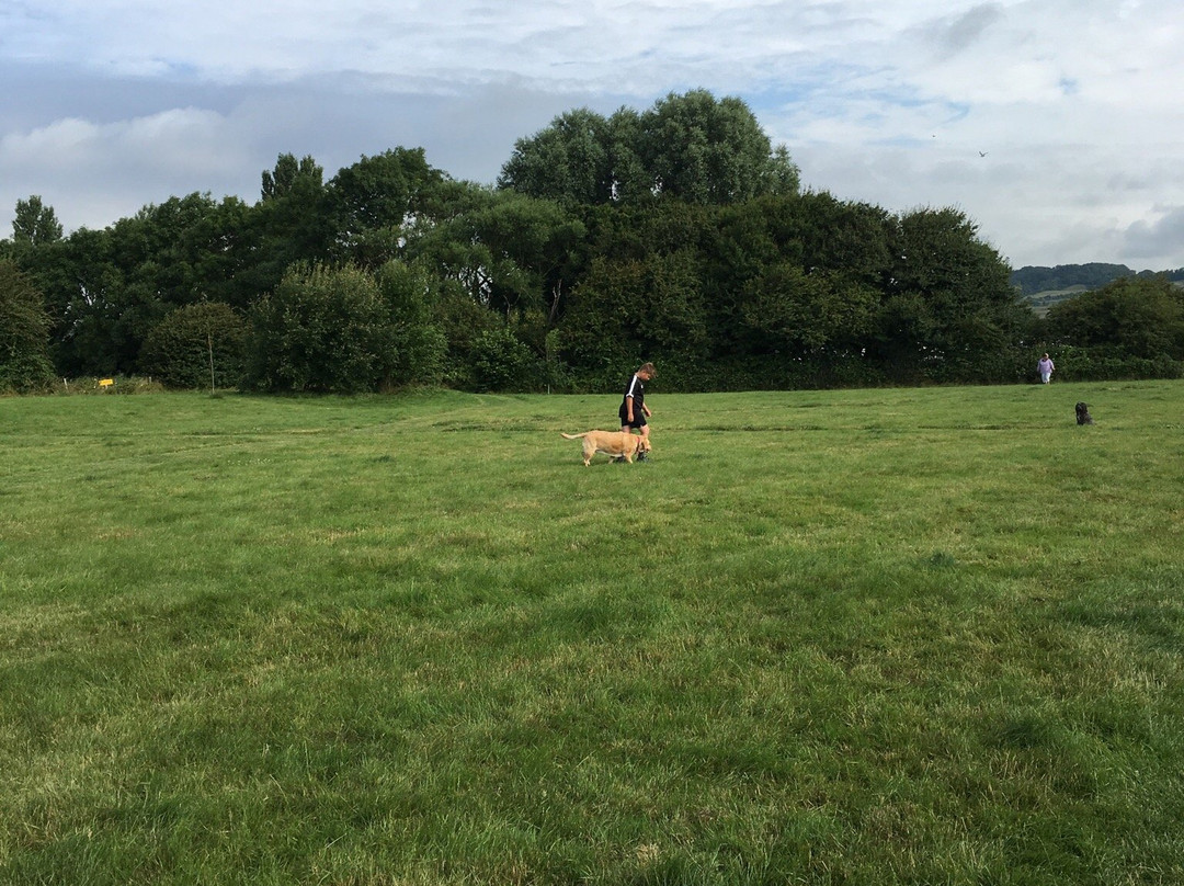 Daleacres Caravan and Motorhome Club Campsite