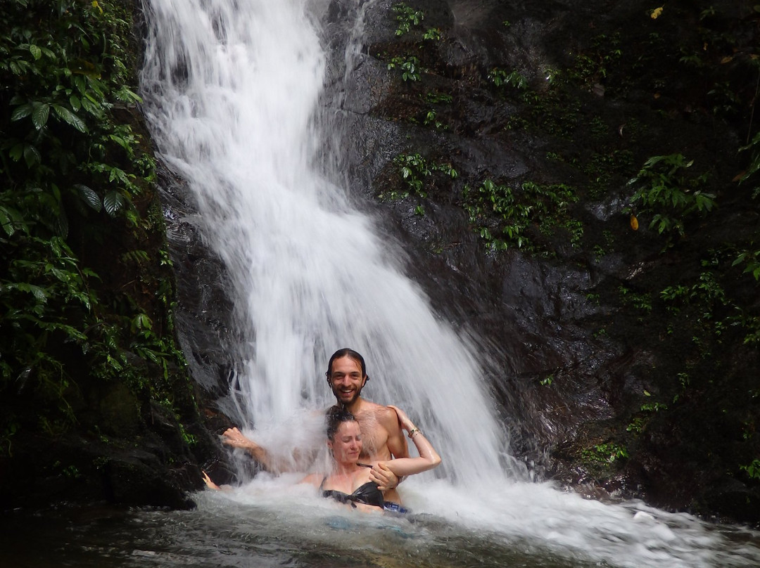 Bukit Lawang Jungle Tour-武吉拉旺必去景点
