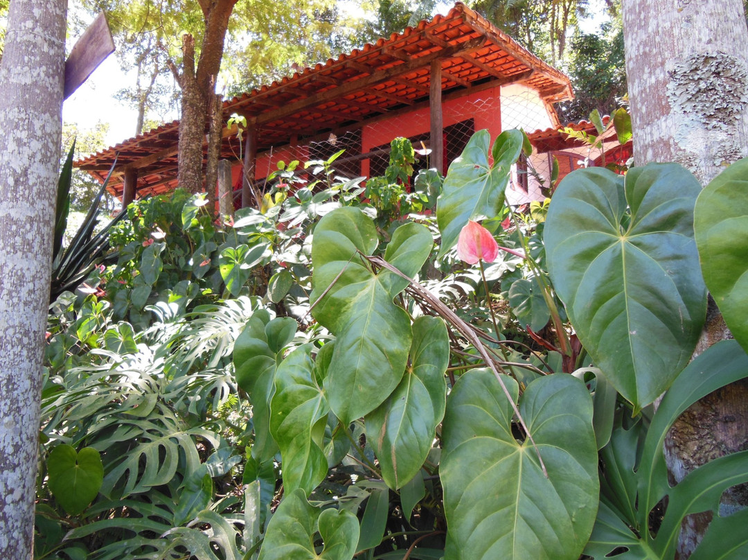 Pousada Rosa Amarela主图