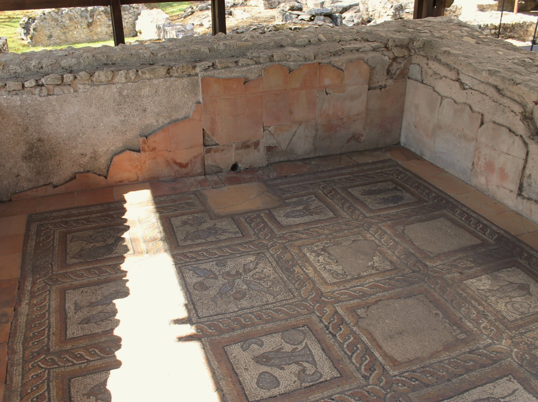 Montcaret Archaeological Site景点图片