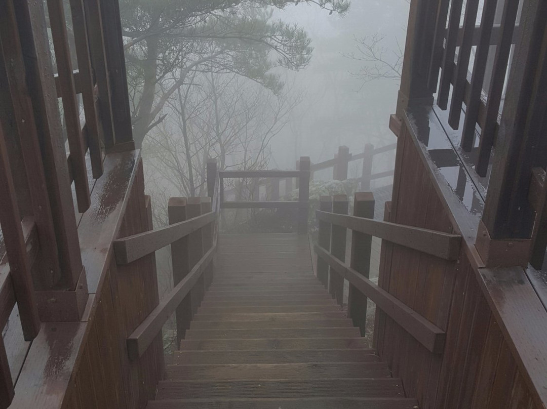 Sillimbong Peak-大邱必去景点