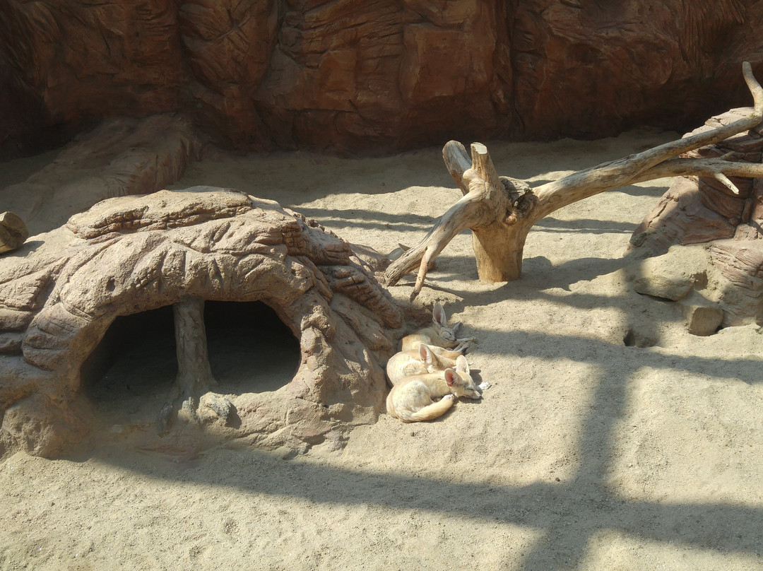 National Institute of Ecology-舒川郡必去景点