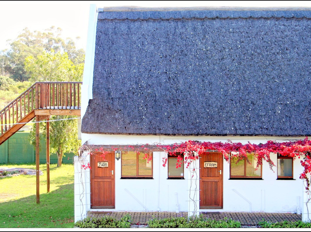 Zoutpan Struishuis Guest Farm