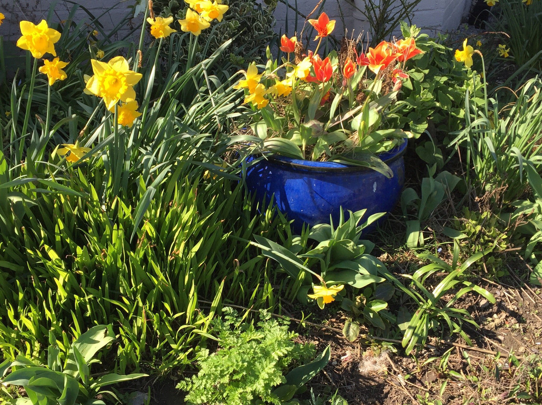 Coronation Gardens-West Kirby必去景点