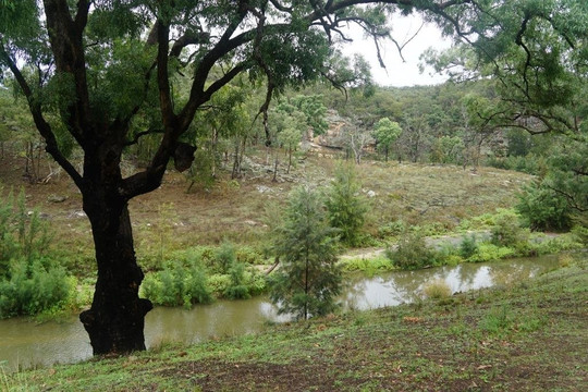 Goulburn River National Park-Baerami必去景点